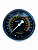 Манометр осевой глицеринонаполненный для пресса N3650L, N3650A, N3650F N3650L#PG