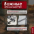 Тележка четырёхколёсная 350 кг Сорокин 